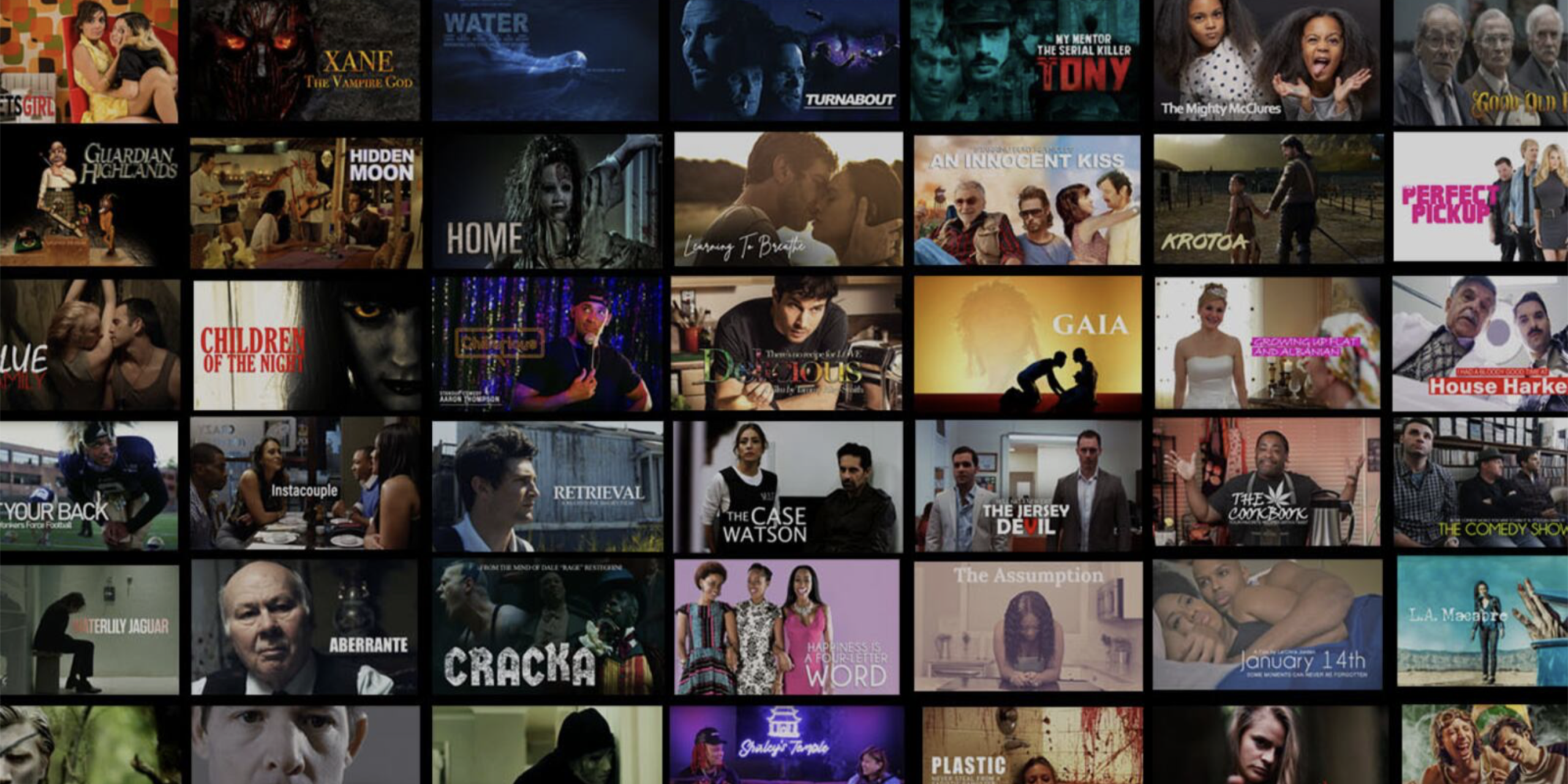 Global Ad-Supported Streaming Platform